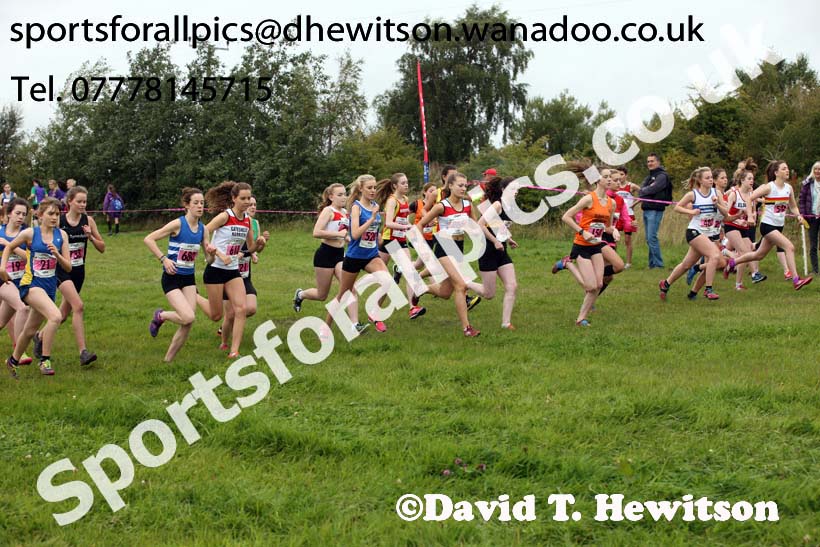 Womens under-17s and 20s, Start Fitness North Eastern Harrier League, Tanfield, County Durham. Photo: David T. Hewitson/Sports for All Pics